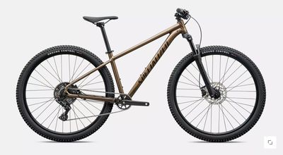 ROCKHOPPER SPORT BNTGLDMET/STLNMET M - 29