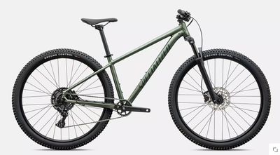 ROCKHOPPER SPORT BTLGRN/OAKGRNMET L - 29