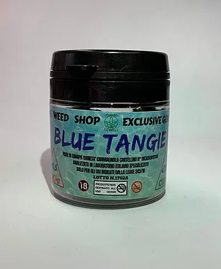 Blue Tangie