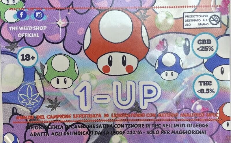 1-UP 