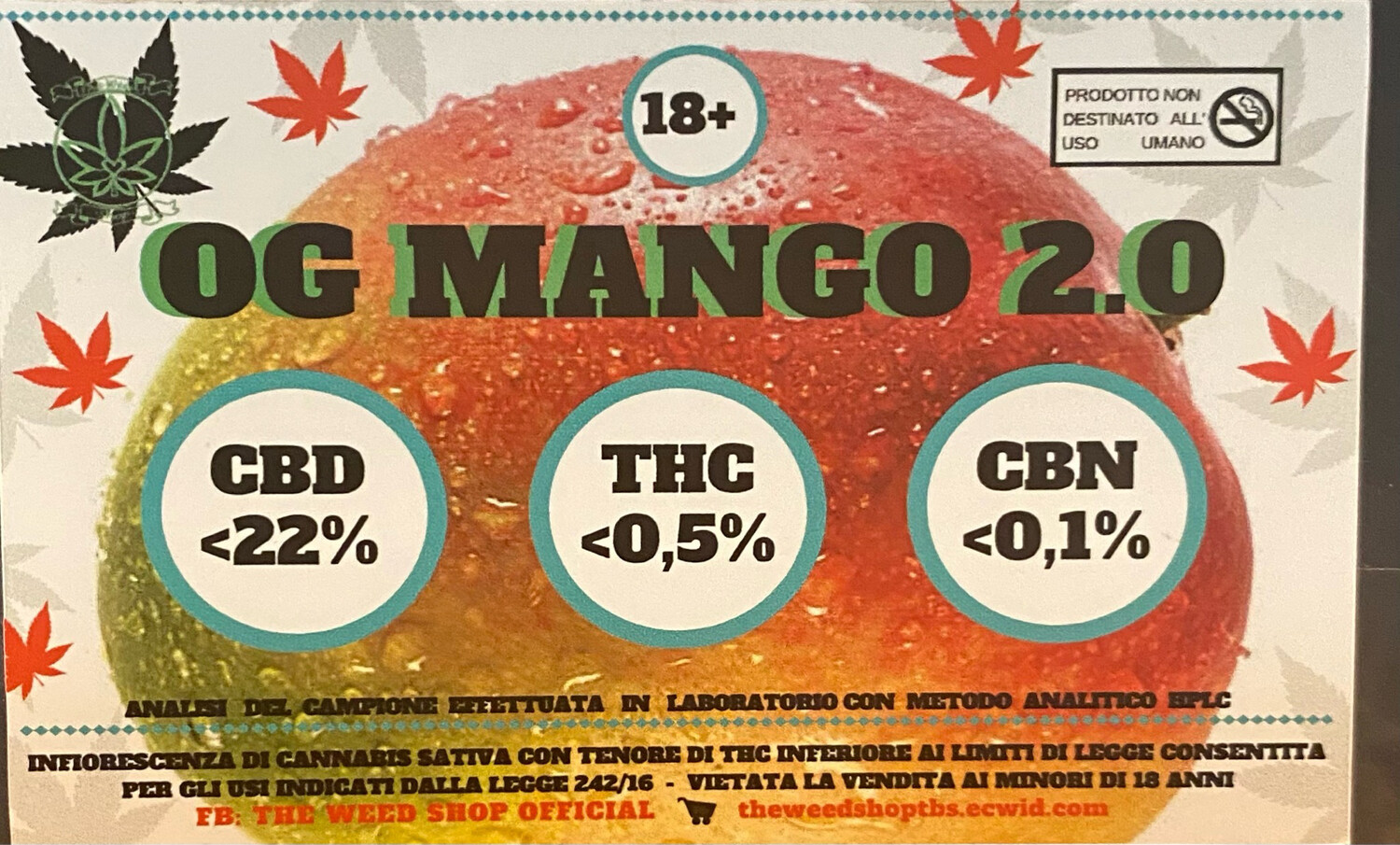 OG MANGO 2.0 