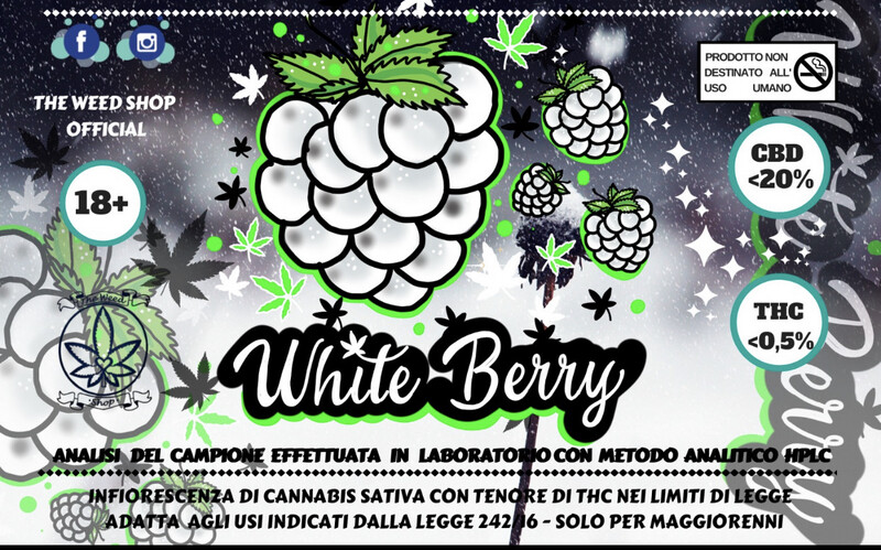White berry 