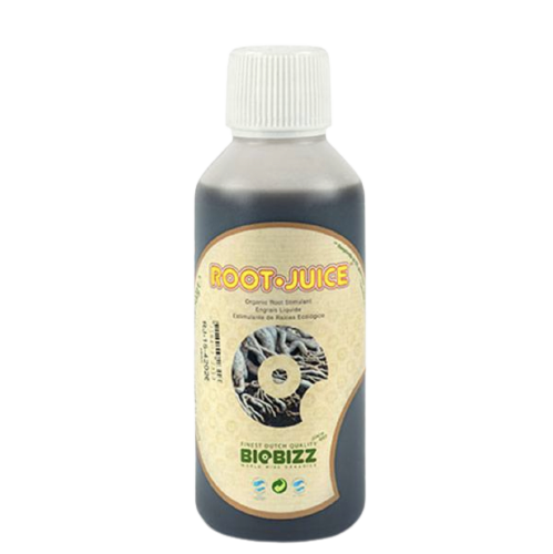 ROOT JUICE