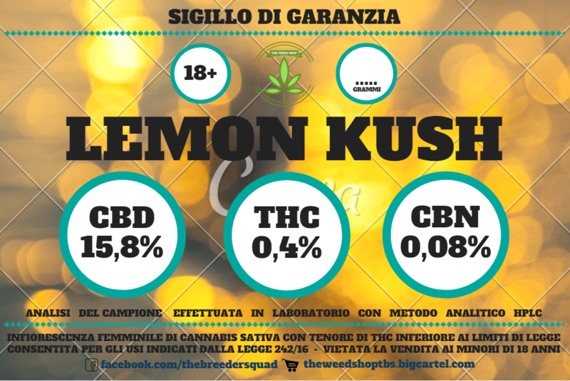 Lemon Kush 2.0 5 grammi