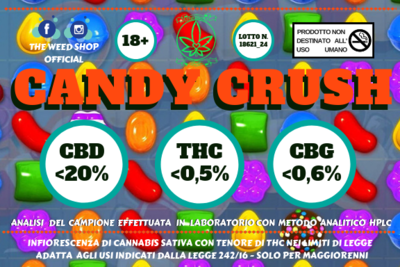 Candy Crush nuovo lotto indoor 5g