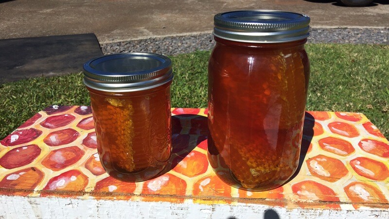 1 qrt COMB honey