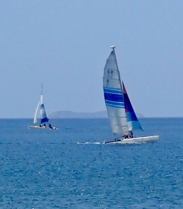 ⛵️⛵️GOLDEN TICKET⛵️⛵️🍯