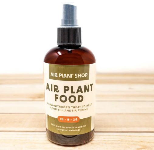 Air Plant Fertilizer