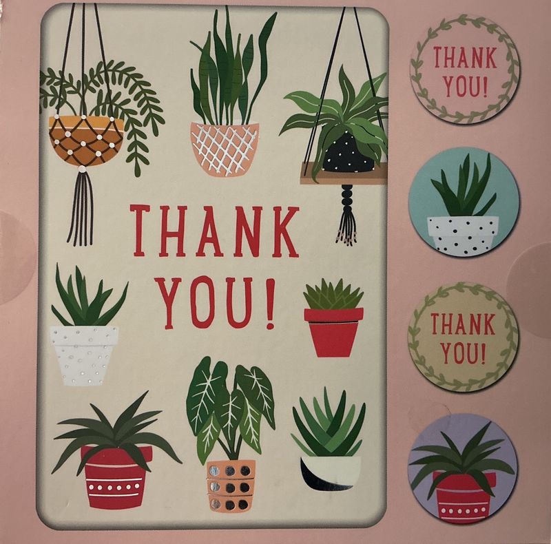 Grow With Me Thank You Note Card Set
