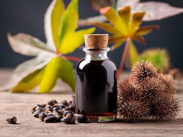 Black Castor Oil