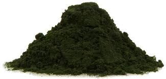 Chlorella