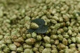Hops
