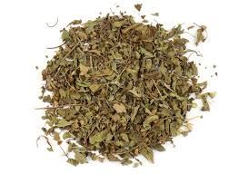 Holy Basil (Tulsi)