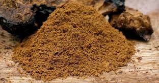 Complete Support Mushroom powder