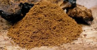 Complete Support Mushroom (powder)