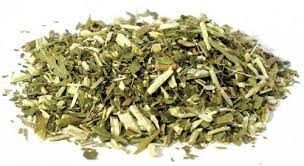 Blue Vervain