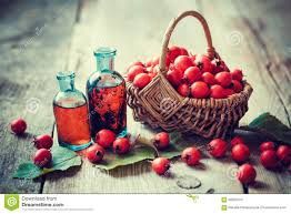 Hawthorn Berry