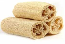 Luffa or Loofa