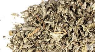 Garden Sage Leaf