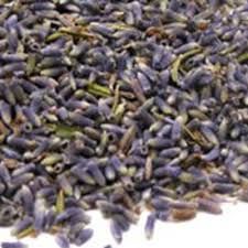 Lavender Flowers