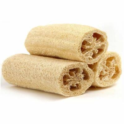 Luffa or Loofa 2