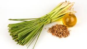 Lemongrass
