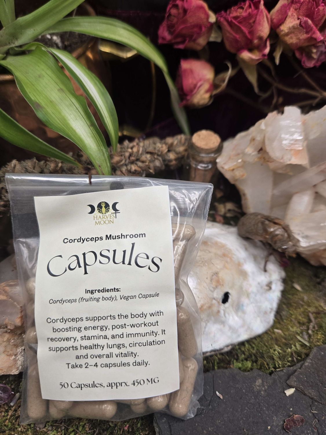 Cordyceps Mushroom Capsules