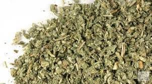 Horehound