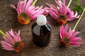 Echinacea Tincture
