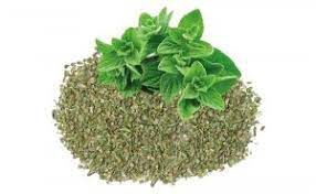 Oregano Leaf