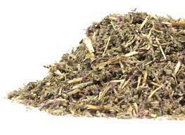 Pennyroyal