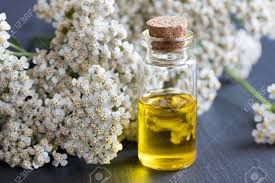 Yarrow Oil