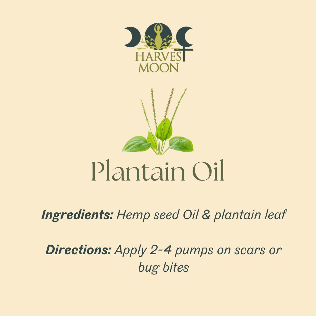 Plantain oil