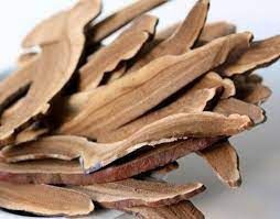 Reishi Mushroom Slices