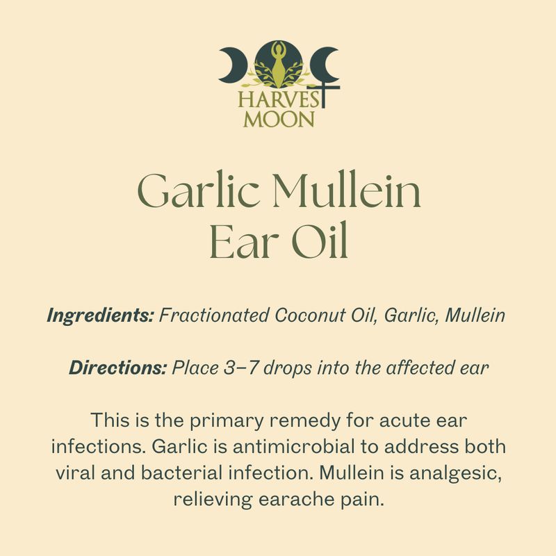 Garlic-Mullein Ear Oil