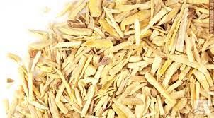 Oregon Grape Root