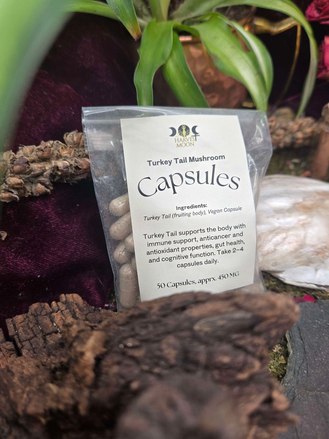 Turkey Tail Mushroom Capsules