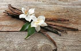 Vanilla Bean