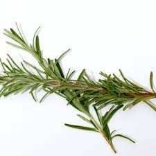 Rosemary