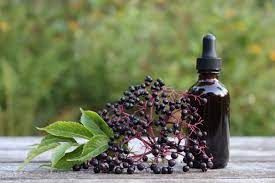 Elderberry Glycerite