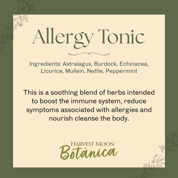 Allergy Tonic Herbal Tea