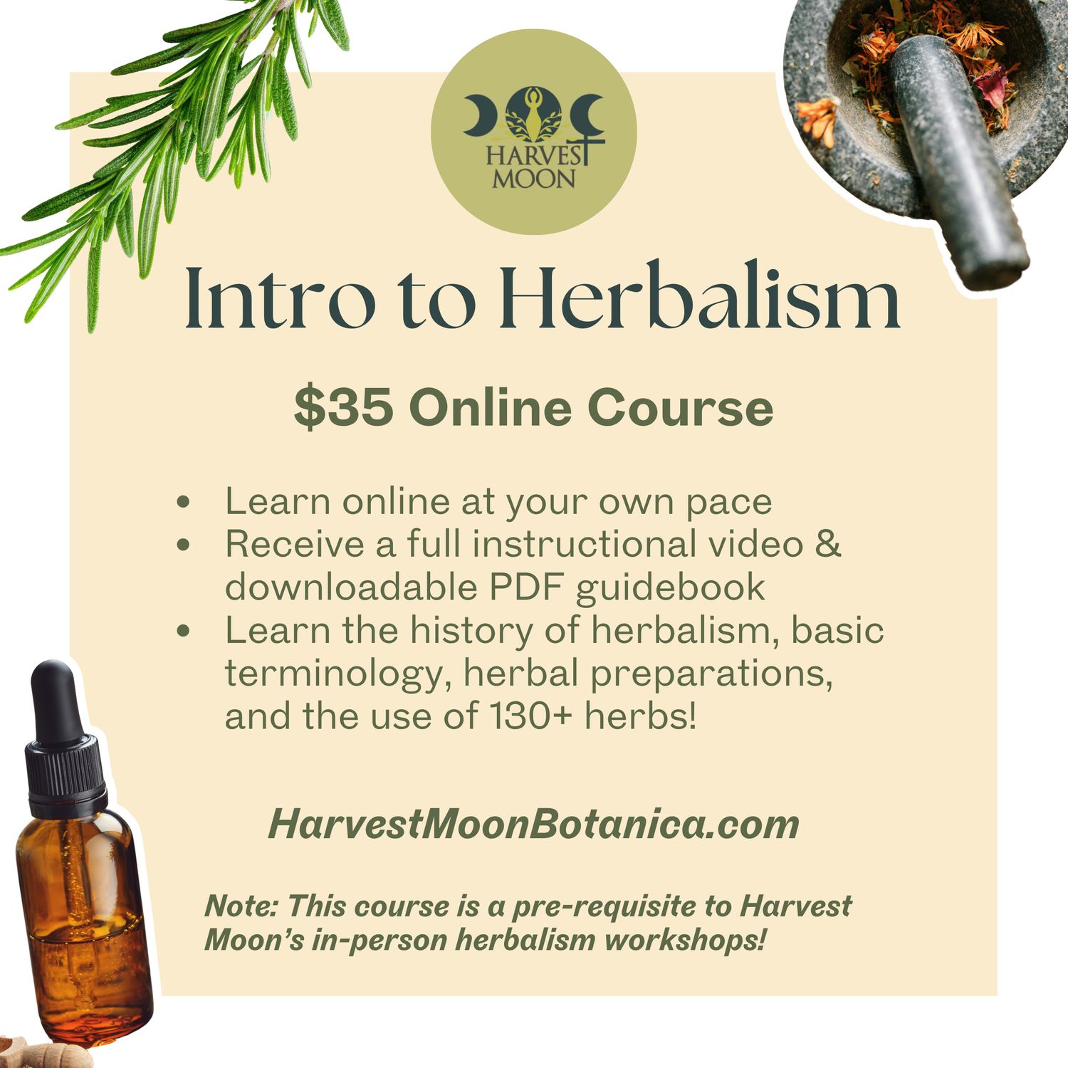 Intro to Herbalism: Online Course