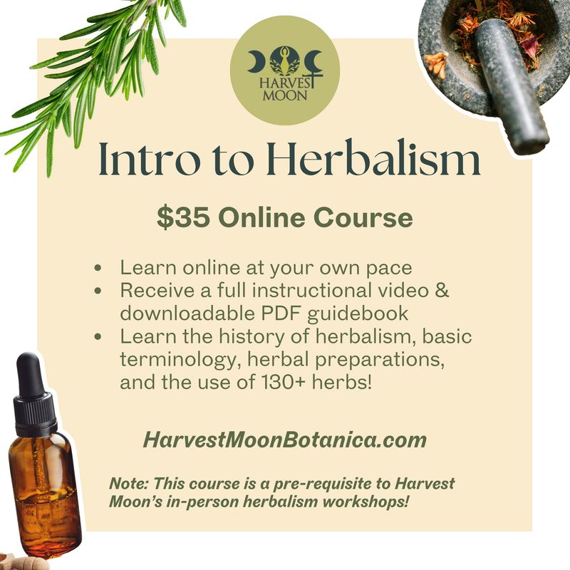 Intro to Herbalism: Online Course