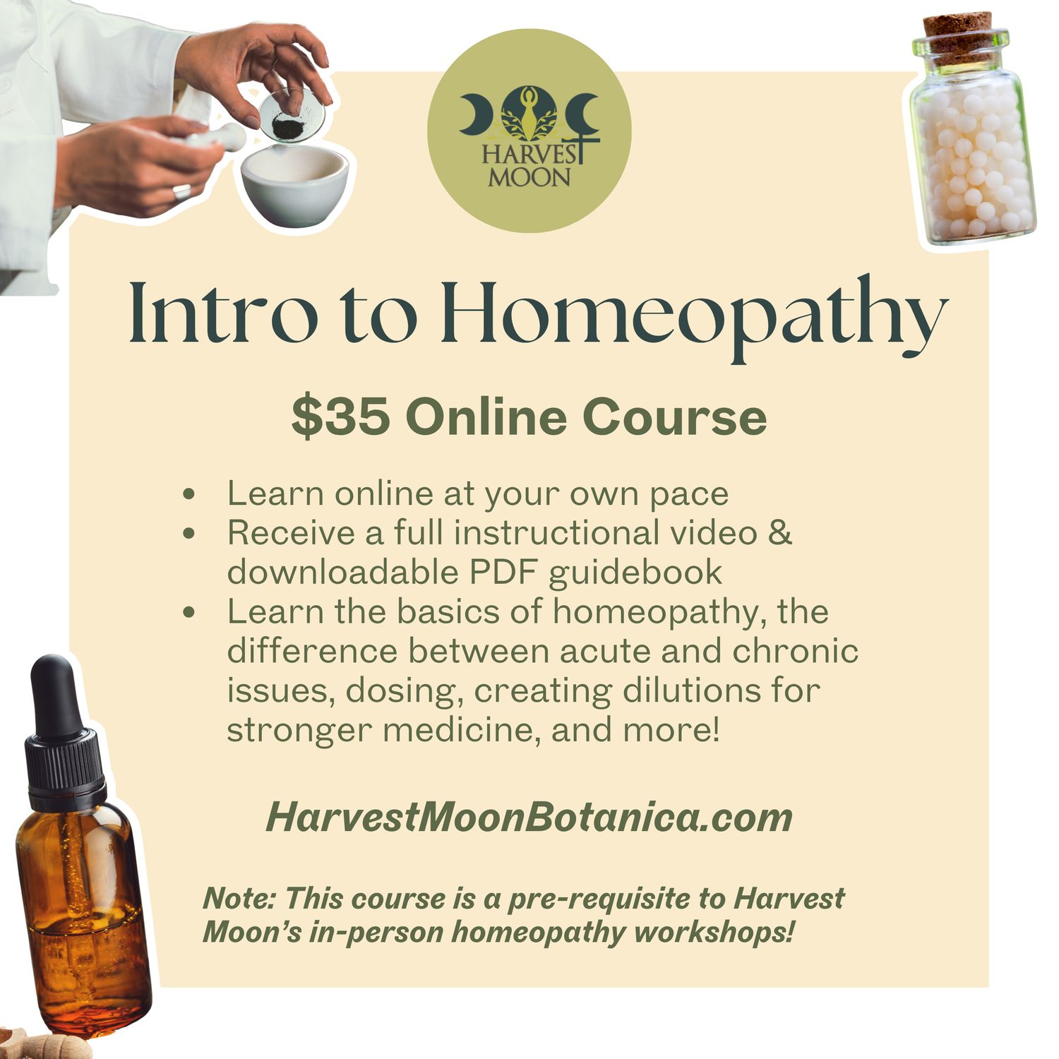 Intro to Homeopathy: Online Course