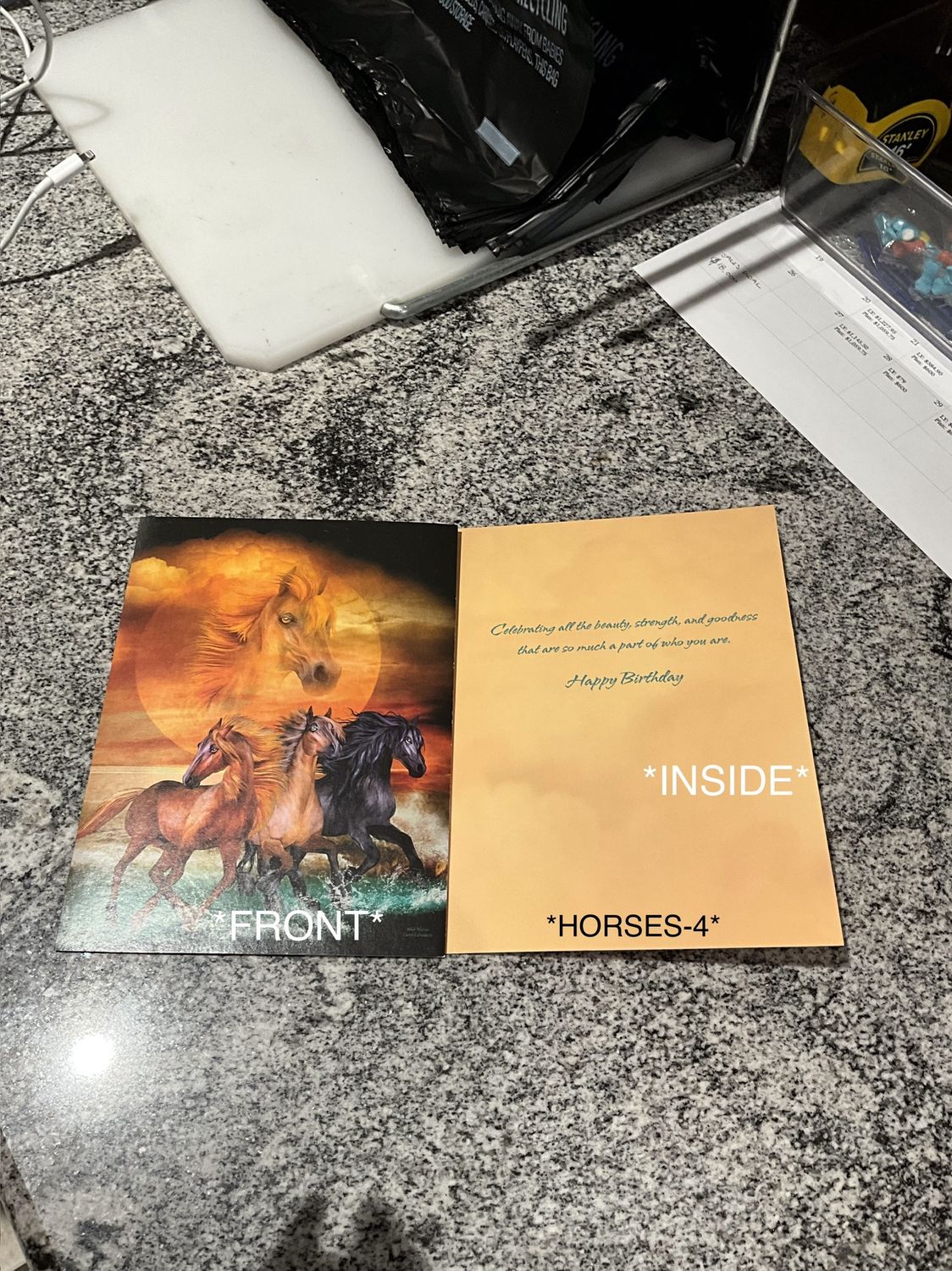 LEANIN TREE- HAPPY BIRTHDAY