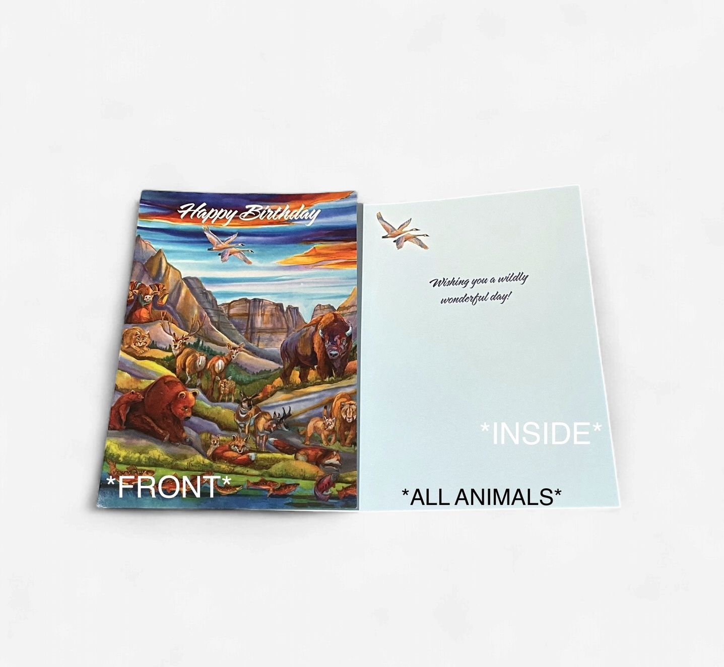 LEANIN TREE- HAPPY BIRTHDAY