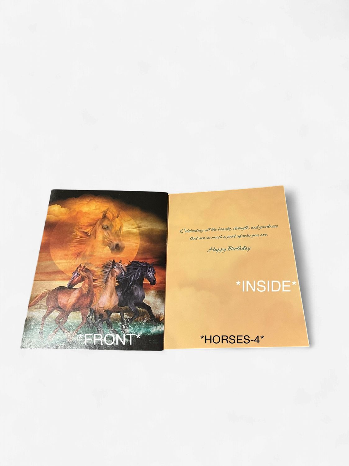 LEANIN TREE- HAPPY BIRTHDAY