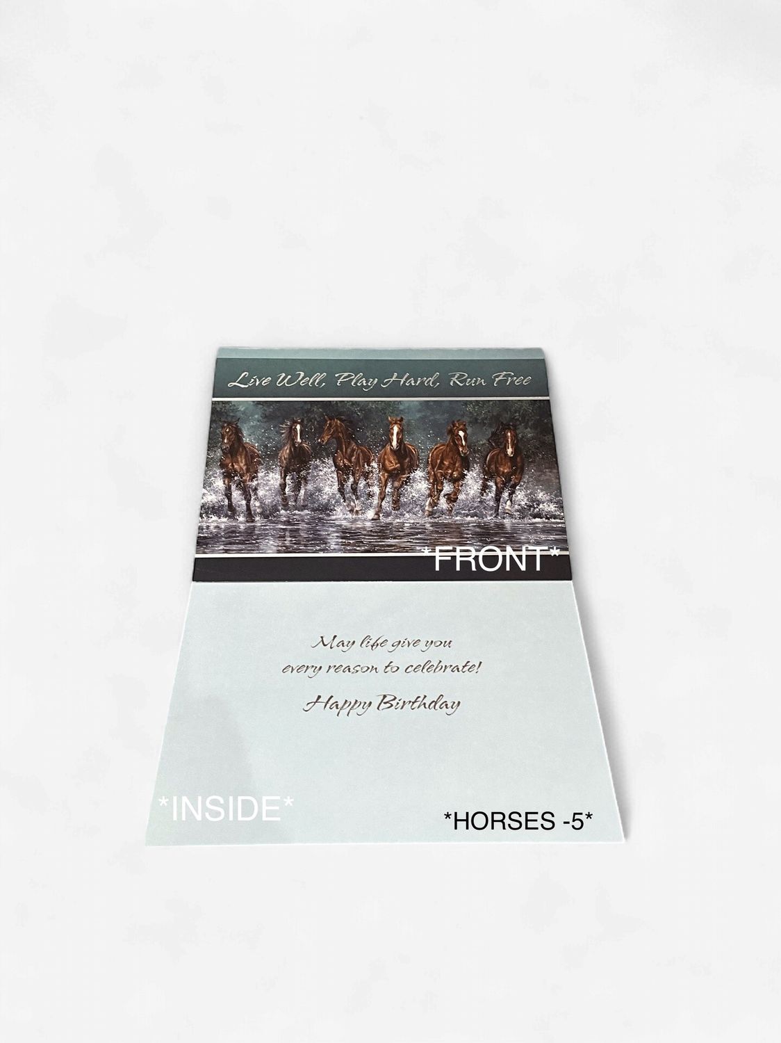 LEANIN TREE- HAPPY BIRTHDAY