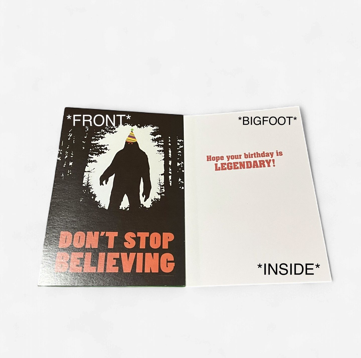 LEANIN TREE- HAPPY BIRTHDAY