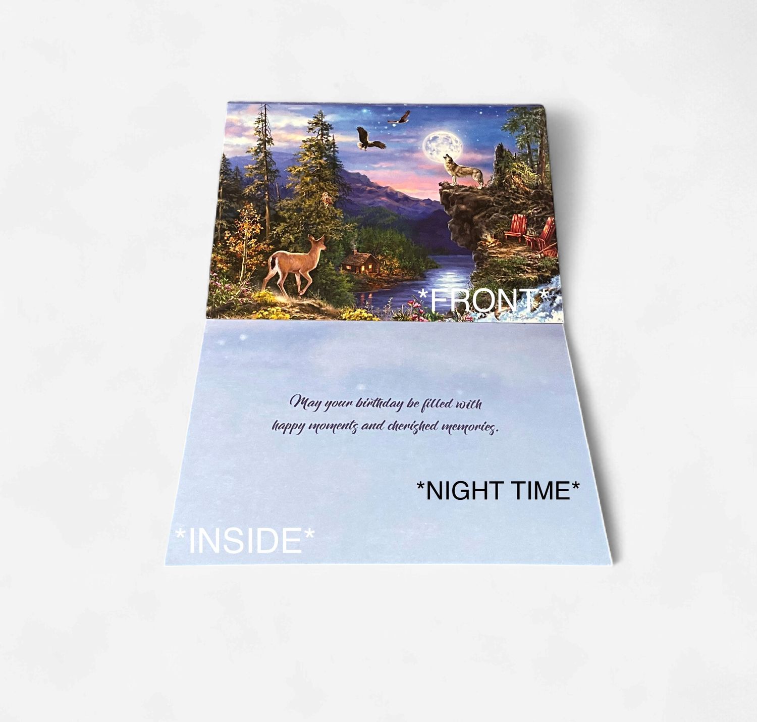 LEANIN TREE- HAPPY BIRTHDAY, Color: NIGHT TIME